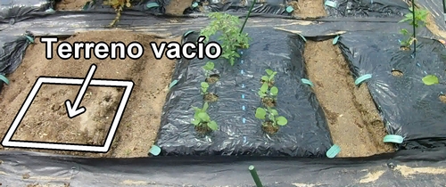 Terreno vacío