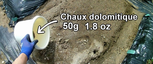 Chaux dolomitique (chaux de jardin)