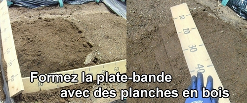 Formez la plate-bande avec des planches en bois