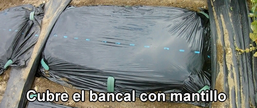 Cubre el bancal con mantillo