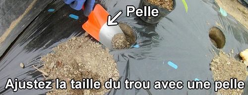 Ajustez la taille du trou avec une pelle