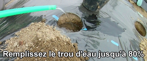 Remplissez le trou d'eau jusqu'à 80%