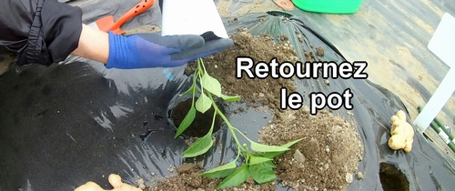 Retournez le pot