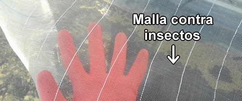 Malla contra insectos