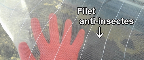 Filet anti-insectes