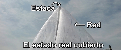 El estado real cubierto