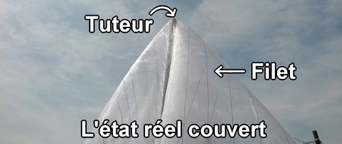 L'état réel couvert