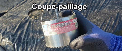 Coupe-paillage