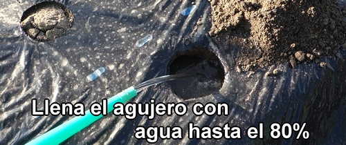 Llena el agujero con agua hasta el 80%