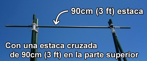 Con una estaca cruzada de 90cm (3 feet) en la parte superior