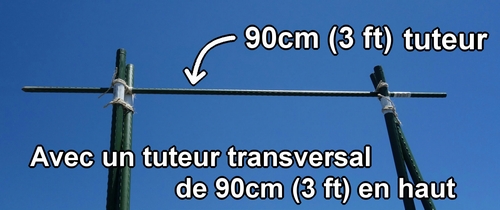 Avec un tuteur transversal de 90cm (3 feet) en haut