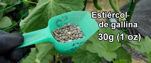 El estiércol de pollo usado para la fertilización de los pepinos