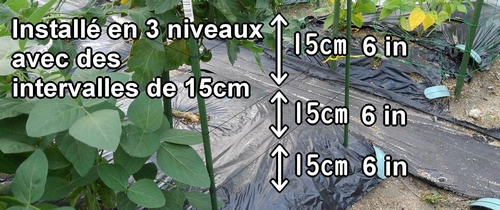 Installé en trois niveaux avec des intervalles de 15cm