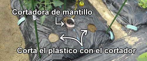 Corta el plástico con una cortadora de mantillo