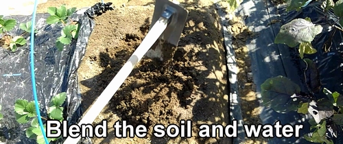 Blend the soil and water