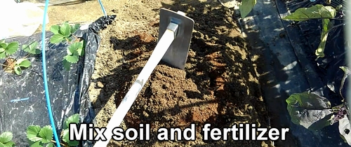 Mix soil and fertilizer
