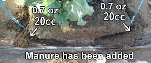 Add 20cc (0.7 oz) of chicken manure to each spot for top-dressing