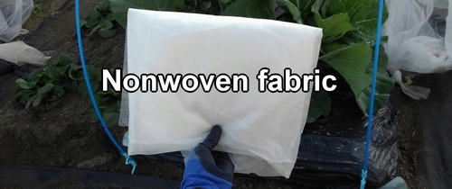 Nonwoven fabric