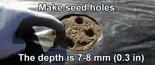 Make seed holes