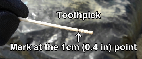 Toothpick