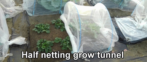 Half grow tunnel (Half garden netting grow tunnel)