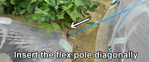 Insert the flex pole diagonally