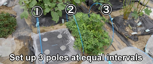 Set up 3 poles at equal intervals