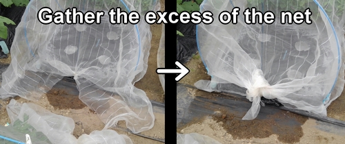 Gather the excess of the insect net