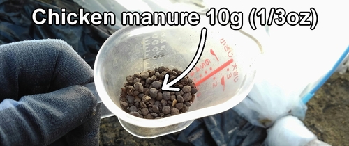 10g (1/3oz) of chicken manure (Organic fertilizer for strawberry plants)