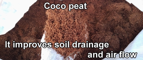 Coco peat（Roots of eggplants and bell peppers grow better）