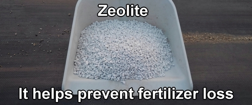 Zeolite