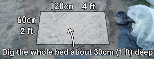 Dig the whole bed about 30cm (1 ft) deep