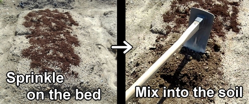 Mix the fertilizer into the soil of the bed