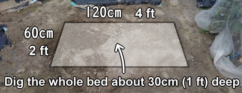 Dig the whole bed about 30cm (1 ft) deep