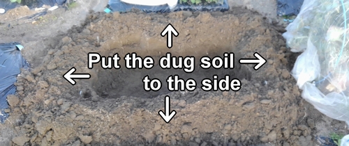 Put the dug soil to the side