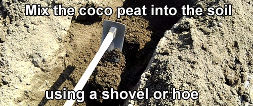 Mix coco peat with the soil