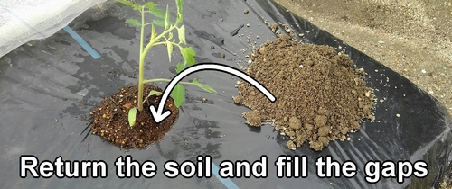 Return the soil and fill the gaps