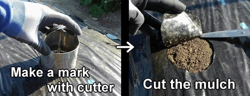 How to use a mulch cutter