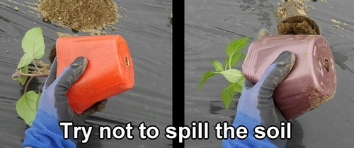 Try not to spill the soil