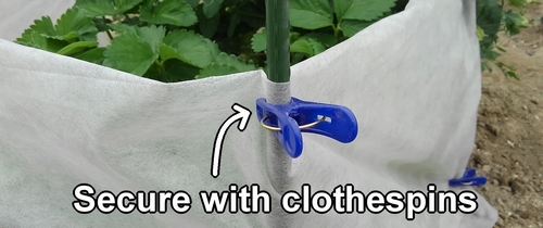 Secure the non-woven fabric with clothespins