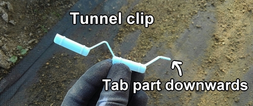 Tunnel clip