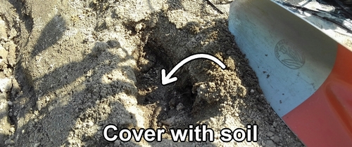 Cover with soil