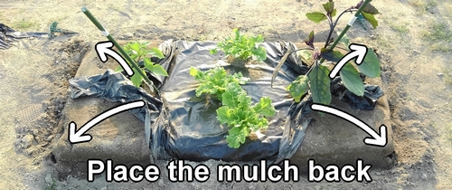 Place the mulch back