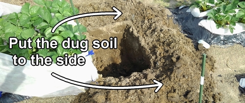 Put the dug soil to the side