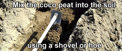 Mix coco peat with the soil