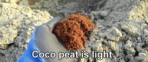 Coco peat is light, so put it deep in the ground