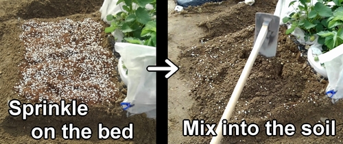 Mix the fertilizer into the soil