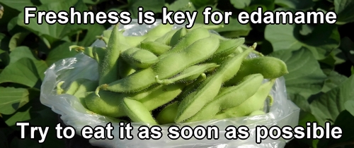 Eat the harvested edamame as soon as possible