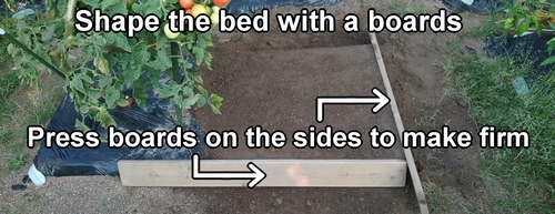 Create bed for greater burdock (Set up bed for arctium lappa burdock)