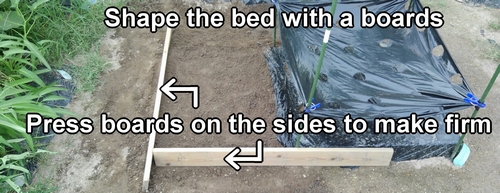 Prepare the bed for daikon radish (Build bed for Japanese daikon radish)